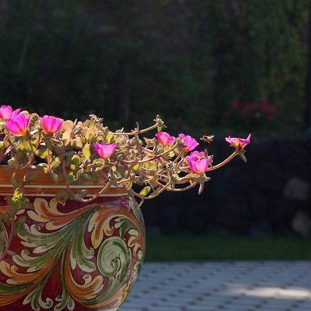 B&B Le Antiche Cisterne Tremestieri Etneo エクステリア 写真